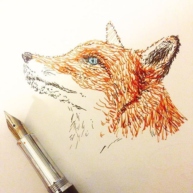 Fountain pen sketch of a fox