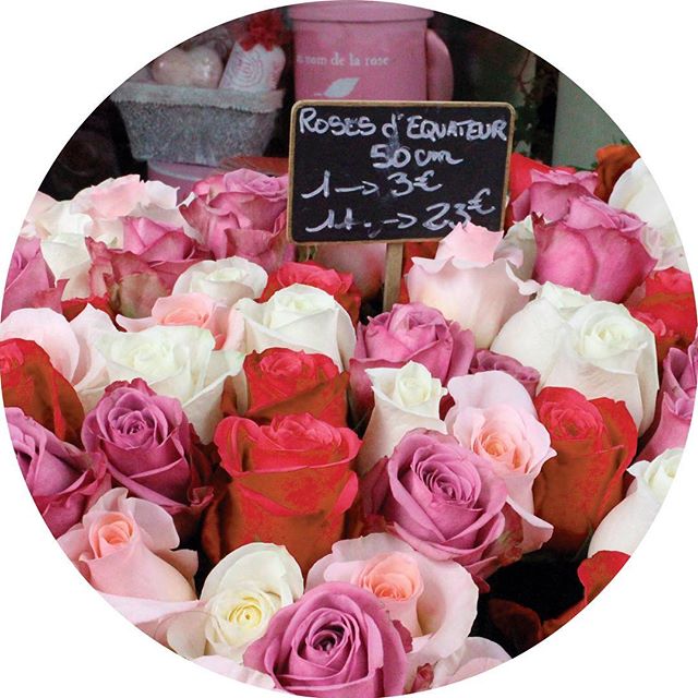 Pink, white and red roses at the Marché aux Fleurs in Paris