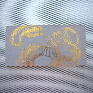 Snake Skeleton Plaque gold & gray OOAK handmade wood block photo vintage Gothic anatomy poster print wall desk art viper decor taxidermy