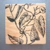 Vintage Ivy Vine print / 4 inch black & white OOAK wood block botanical photo / vintage antique boho woodcut / handmade plant wall desk art - Image 5