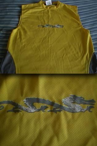 Dragon Asian Gray Tank Top