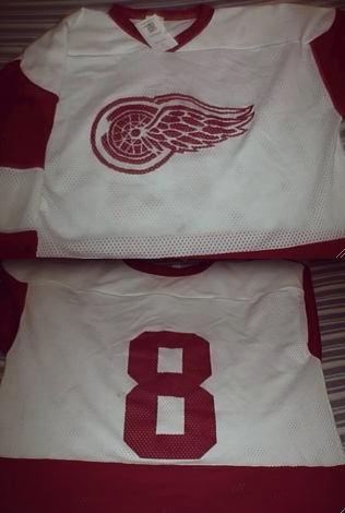 Detroit Red Wings Mesh Jersey #8
